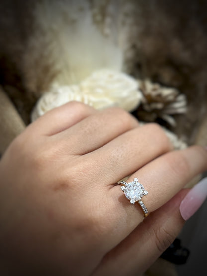 Seraphina’s Sparkle ✨